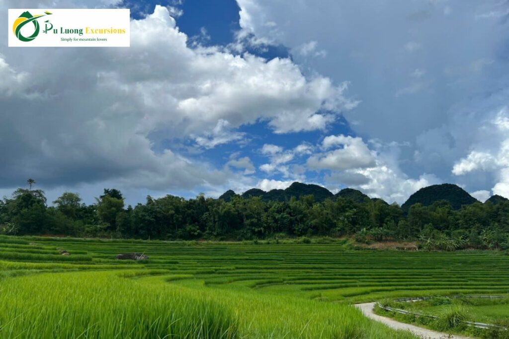 About Pu Luong Excursions 