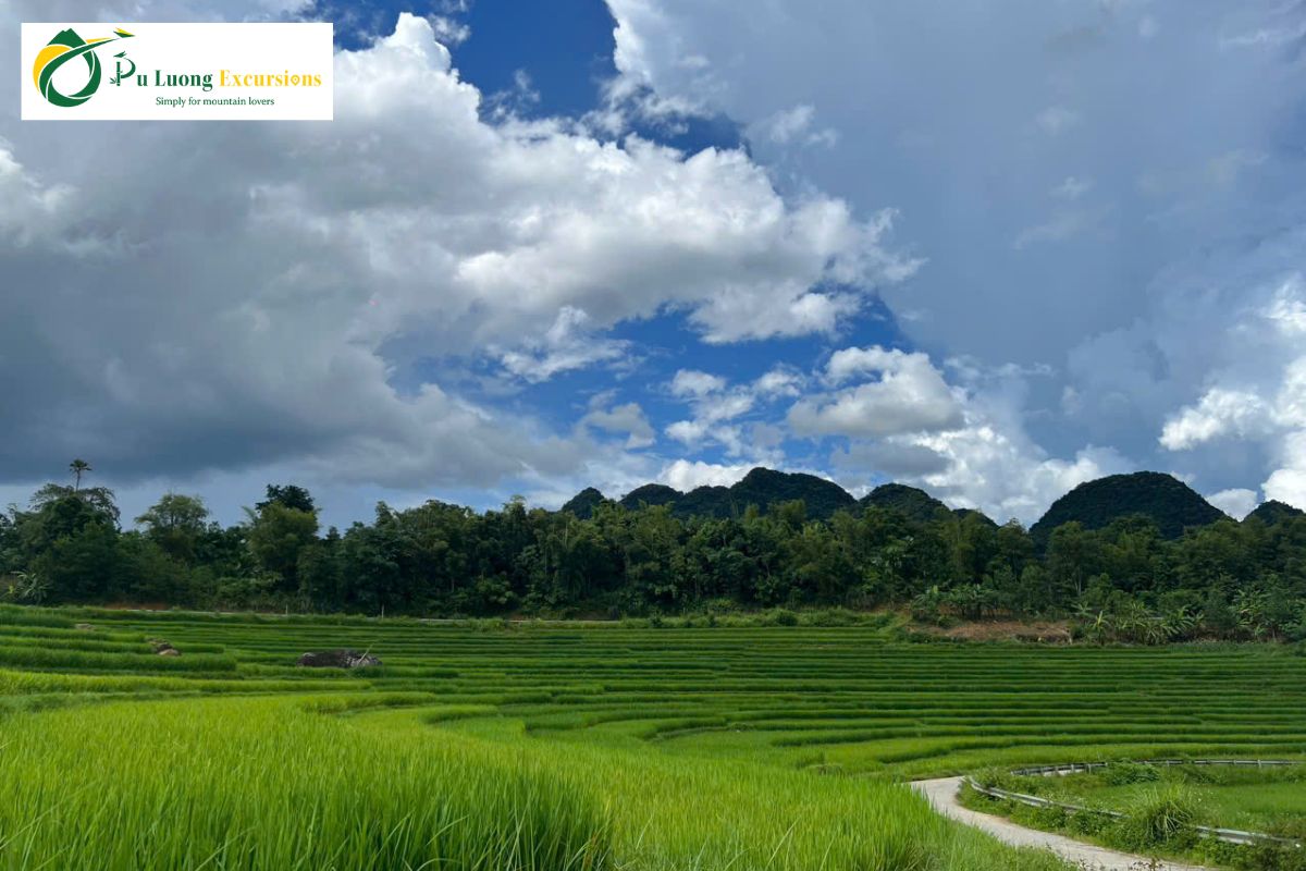 What is the Best Time to Trek Pu Luong? A Complete Seasonal Guide The Green Season