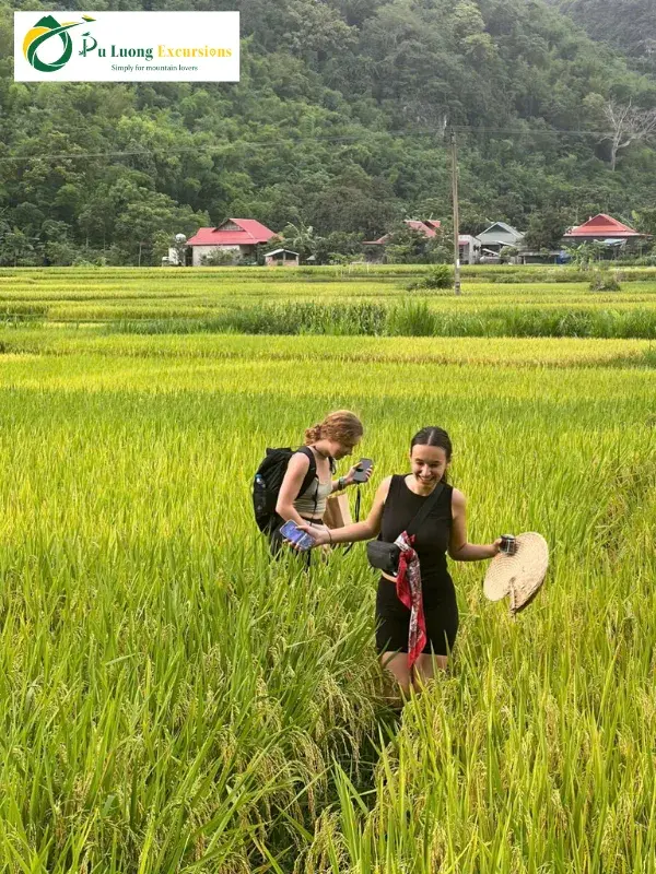 Pu Luong Private Trekking Tour – Authentic Nature & Culture Journey The Best Time for a Private Trek in Pu Luong