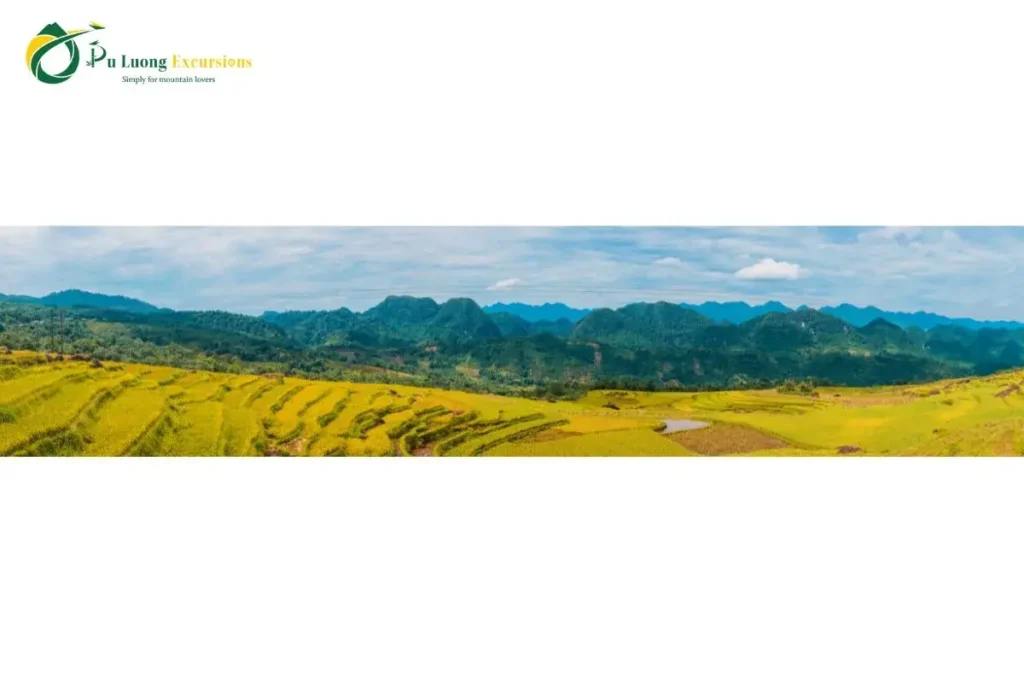 The Beauty Of Pu Luong Rice Terraces Pu Luong Rice Terraces