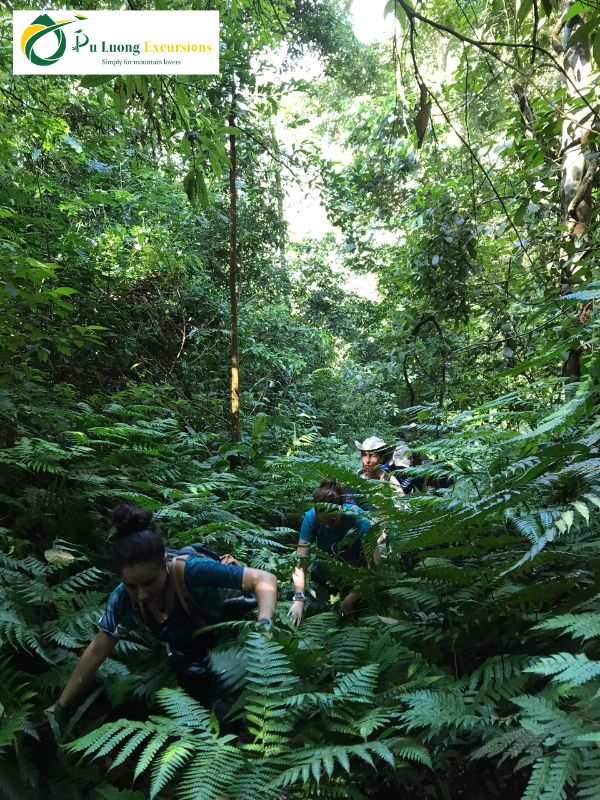 Exploring Pu Luong Wildlife Spotting Learn about Pu Luong Nature Reserve