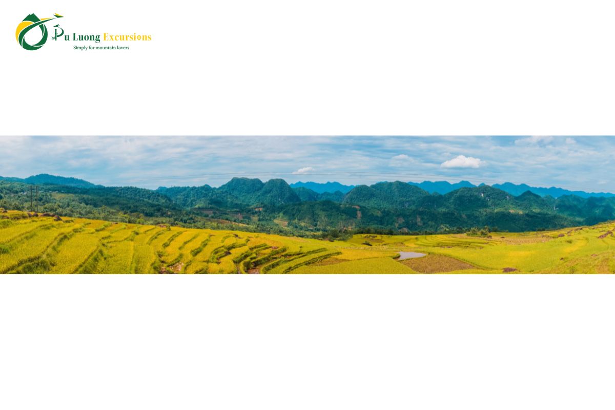 The Beauty Of Pu Luong Rice Terraces puluong 4
