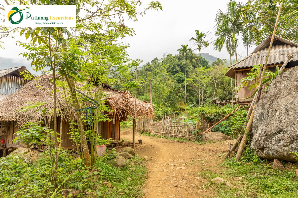 Learn About Pu Luong Ethnic Villages Introducing Pu Luong Ethnic Villages