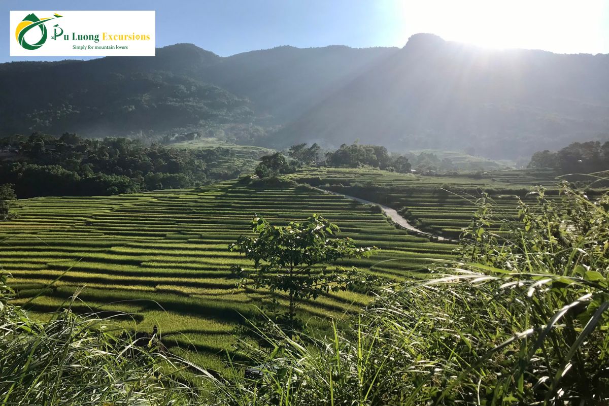 The Beauty Of Pu Luong Rice Terraces puluong 65