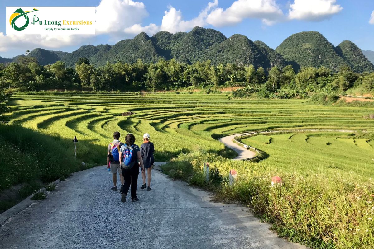 The Beauty Of Pu Luong Rice Terraces How the Thai People Farm Pu Luong Rice Terraces
