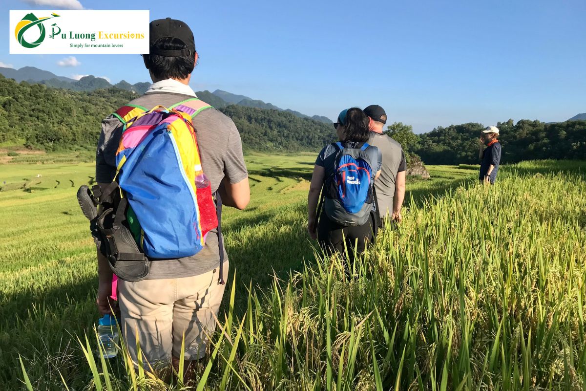 The Beauty Of Pu Luong Rice Terraces Best Places to See Pu Luong Rice Terraces
