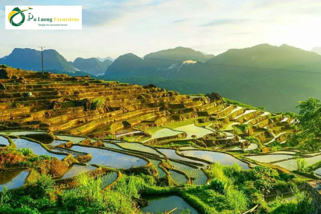 Pu Luong or Sapa: Which Northern Vietnam Destination Should You Visit? Introduction to Sapa and Pu Luong