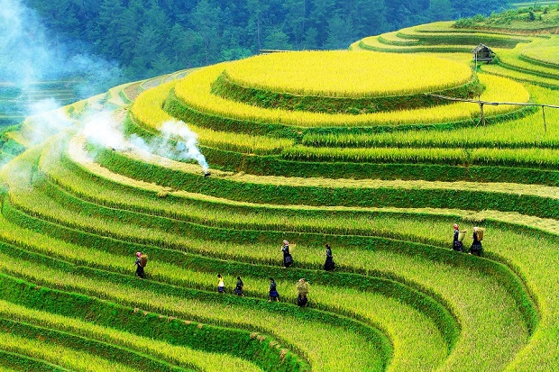 Best Mountain Trek North Vietnam Mu Cang Chai