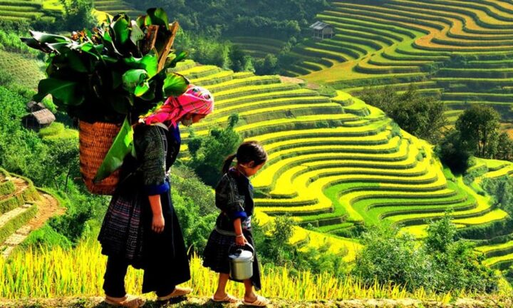 trekking in ha giang