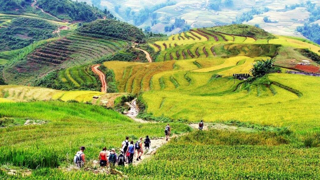 Northern Vietnam Rice Terrace Exploration trekking in sapa