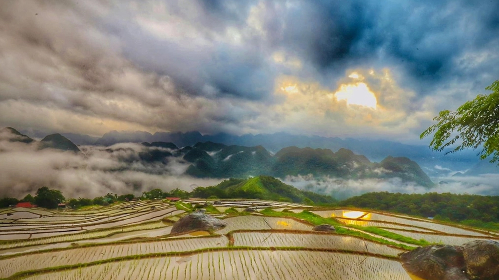 Pu Luong Ninh Binh Ha Long 8 days tour