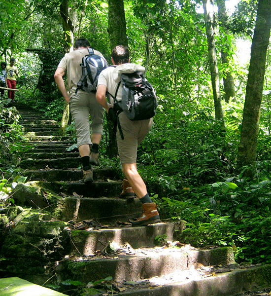 Cuc Phuong National