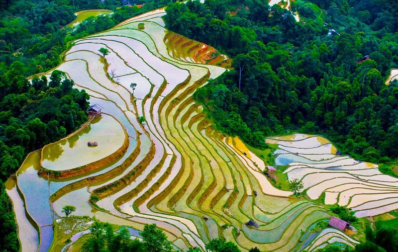 Northern Vietnam Rice Terrace Exploration Hoang Su Phi – Steep Mountain Terraces