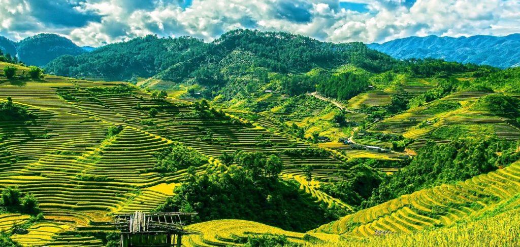 Mu Cang Chai and Pu Luong Rice Field Tour Mu Cang Chai Rice Terraces