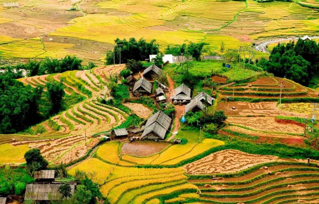 Trekking Tour North Vietnam 7 Days Sapa & Lao Chai – Ta Van Valley