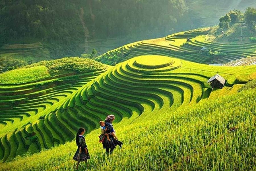 Pu Luong and Sapa 5-Day Trekking Tour Sample Itinerary of Pu Luong and Sapa 5-Day Trekking Tour