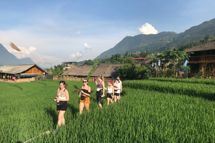 Sapa Local Village Trek Experience with Local Guides 5bdcfcd7 ad7f 4b59 83b1 849c7e6f3269 sapa trek with local guide 2 days 1 night stay in tavan village