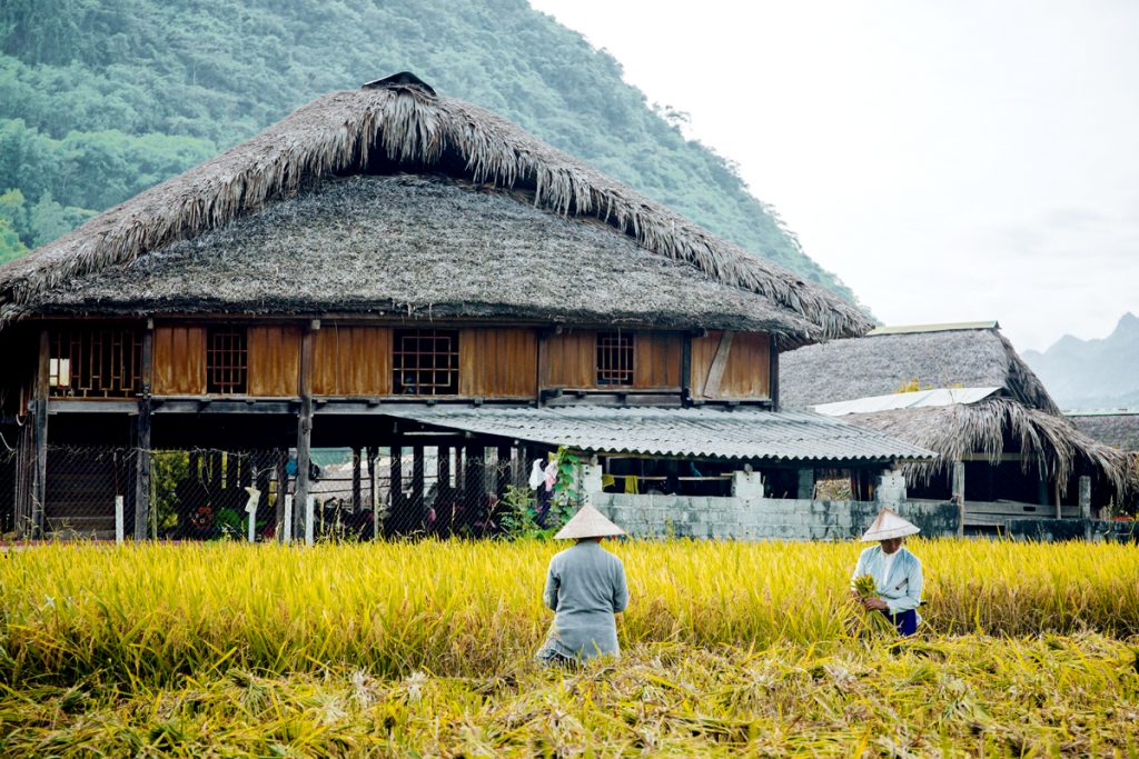 Ha Giang Minority Cultural Trek