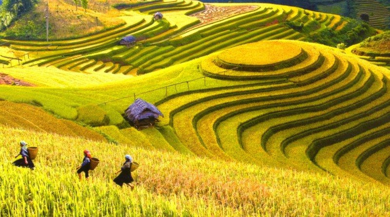 Typical Routes for a Mu Cang Chai Ethnic Hmong Trek
