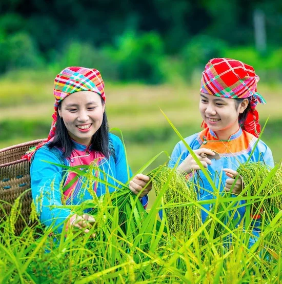 Sapa Ethnic 1