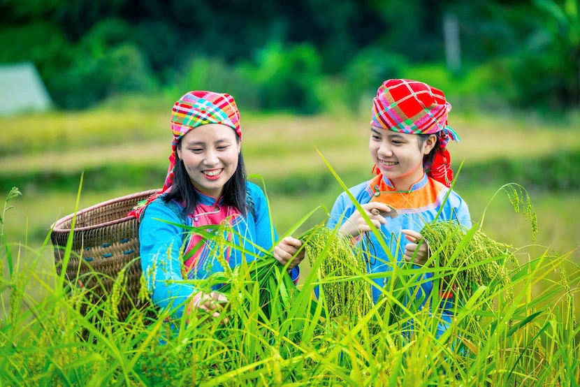 Sapa Ethnic 1