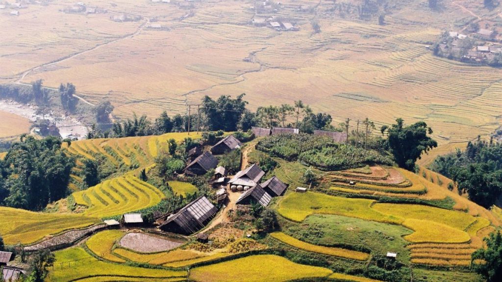 Sapa Local Village Trek Experience with Local Guides Sapa Local Village Trek