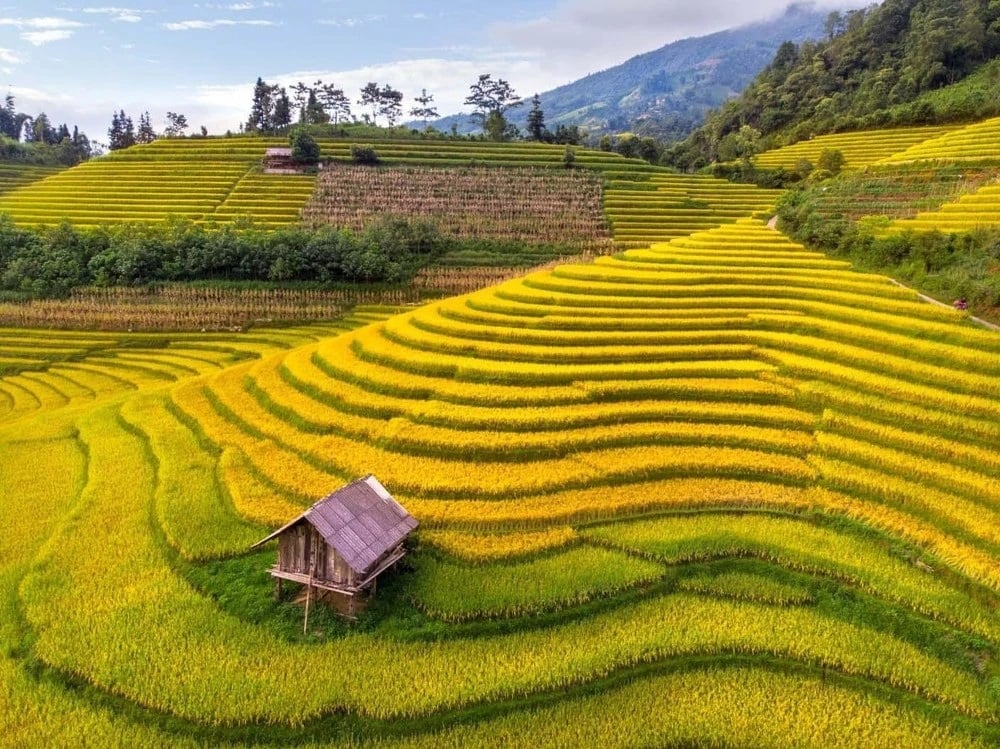 Discover Northern Vietnam with Pu Luong Excursions