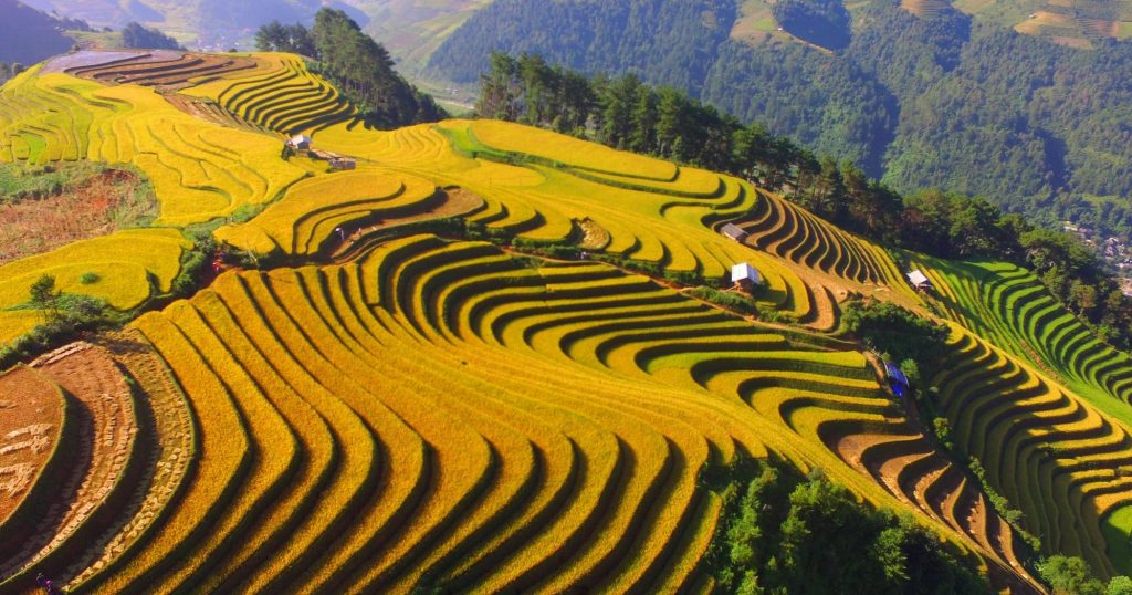 Mu Cang Chai Trekking Tour – Explore Rice Terraces & Villages Tips for a Great Trekking Experience