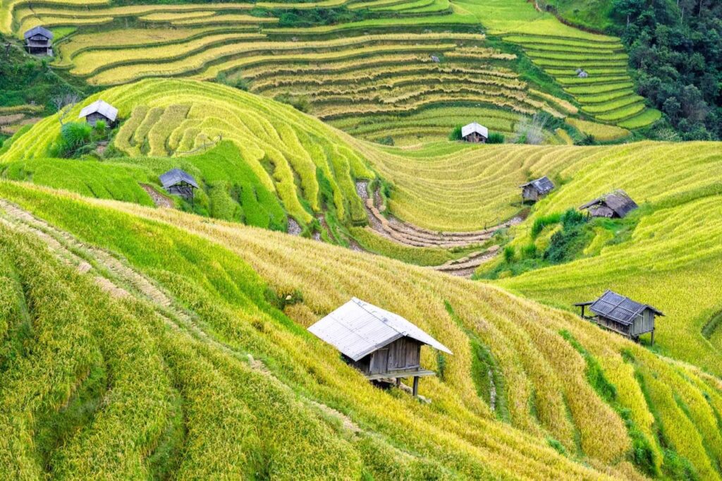 Sapa Trekking Tour 3 Days Sapa Trekking Tour 3 Day