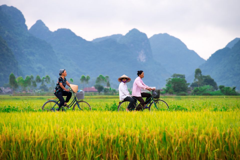 Bac Son Valley Trekking Tour – Ultimate Guide for First-Time Trekkers Best Time for a Bac Son Valley Trekking Tour