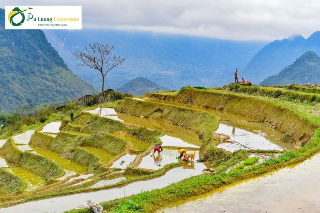 Mountain Biking Pu Luong Villages Mountain Biking Tours in Pu Luong Villages