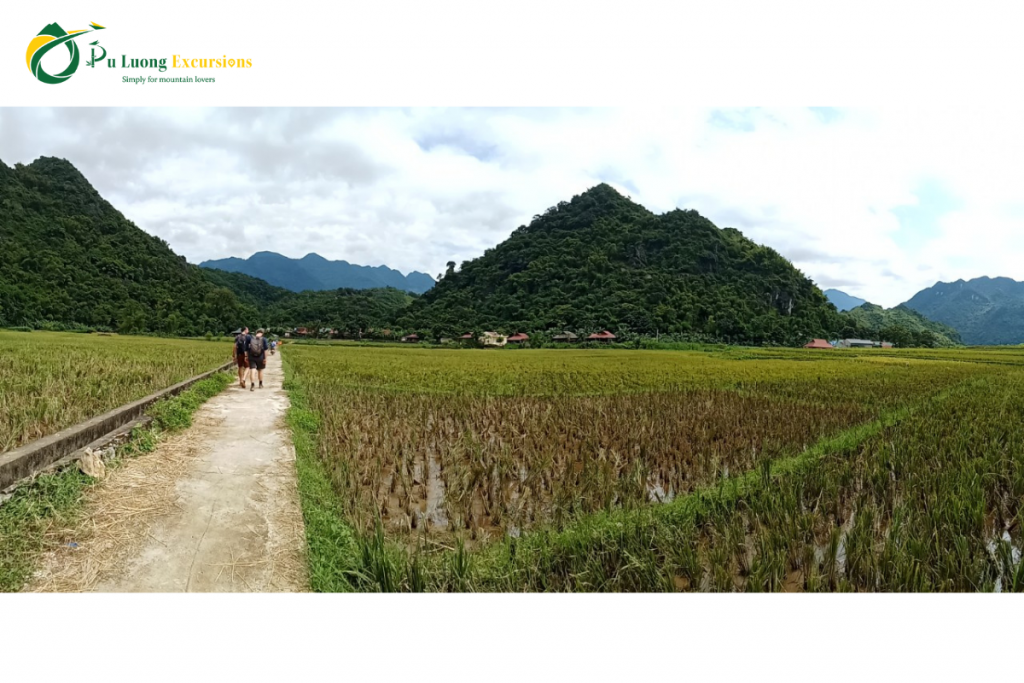 Discover the Pu Luong Hiking Trails Pu Luong Hiking Trails
