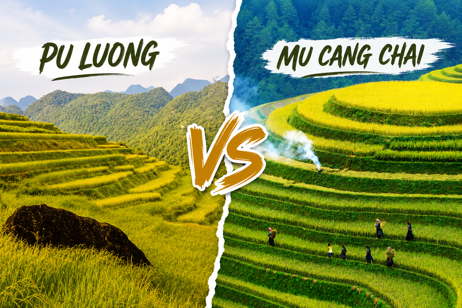 Mu Cang Chai vs Pu Luong Rice Terraces: A Complete Travel Comparison Pu Luong vs Mu Cang Chai