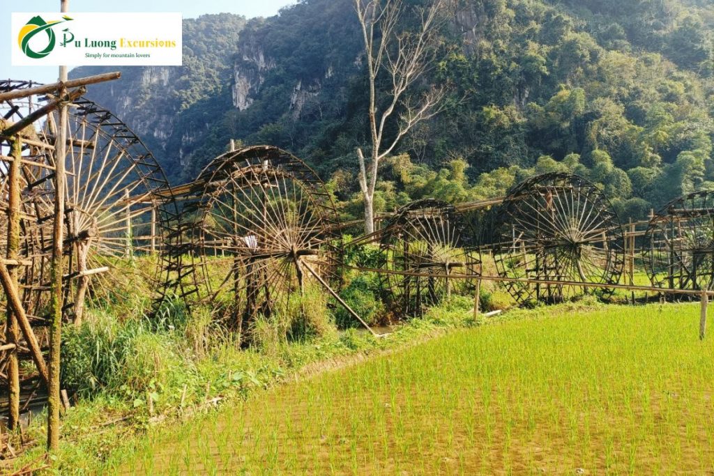 The Ultimate Guide to Pu Luong Night Trekking The Best Routes for Pu Luong Night Trekking