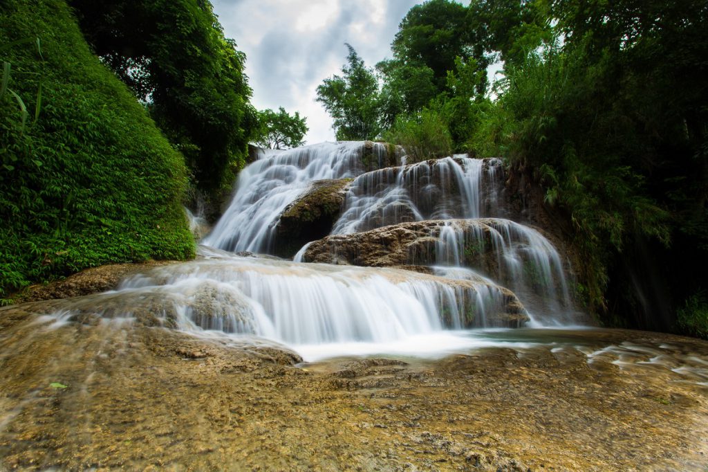 Cuc Phuong & Pu Luong Biodiversity Tour: Vietnam's Best Nature Combo Cuc Phuong and Pu Luong