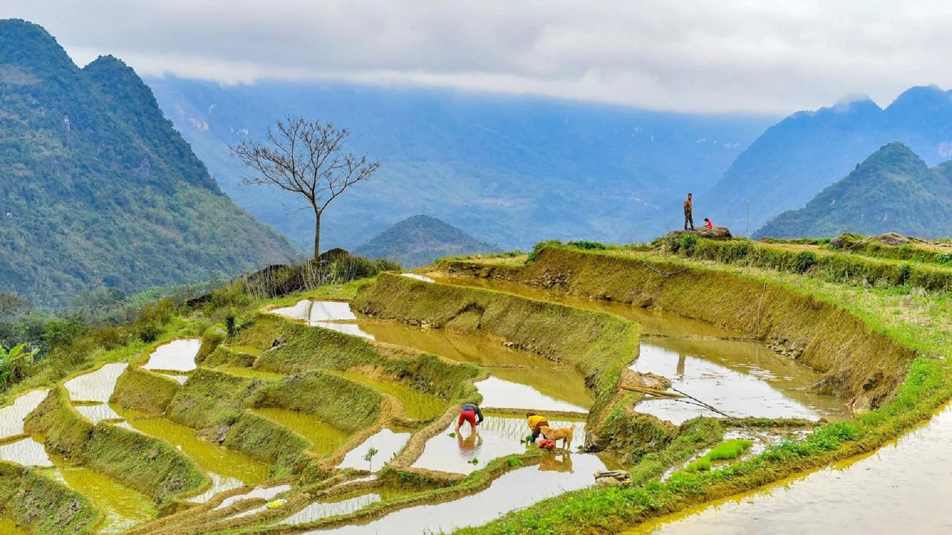 Pu Luong Excursions - The Quieter Side of Northern Vietnam banner2