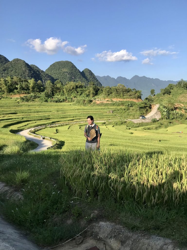 Pu Luong Rice Planting Season Trek: Best Time to Visit Understanding Pu Luong's Two Rice Crops —