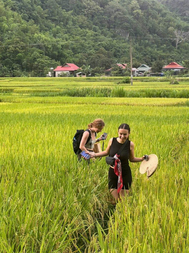 Pu Luong Rice Planting Season Trek: Best Time to Visit Why the Rice Planting Season Makes Pu Luong So Special