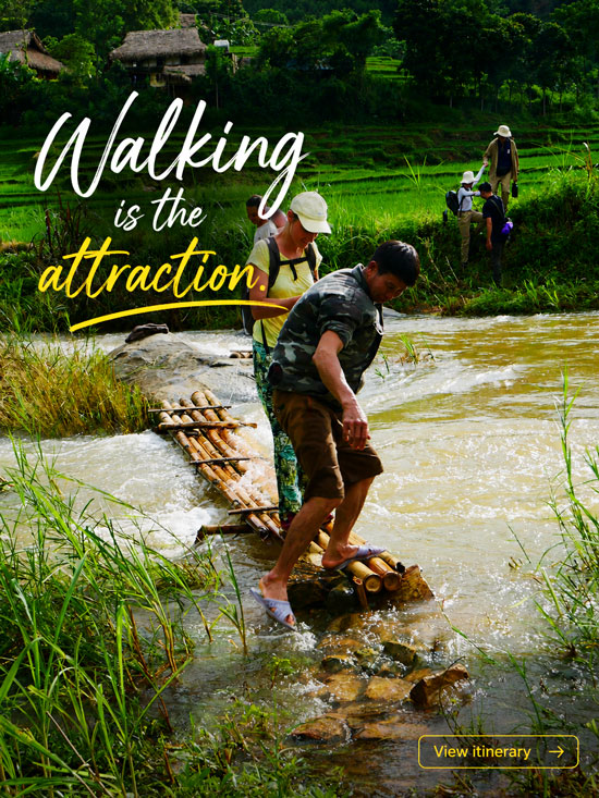 walking-the-attraction walking-the-attraction